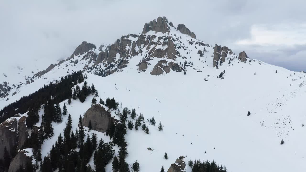 阴天下的雪山，松树在前景，鸟瞰图视频素材