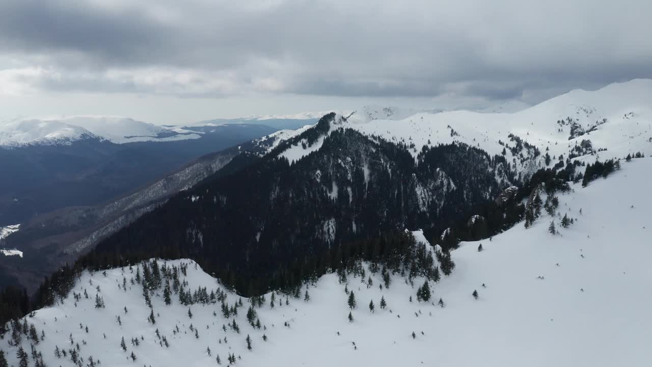 雪山景观与多云天空下的松树视频素材