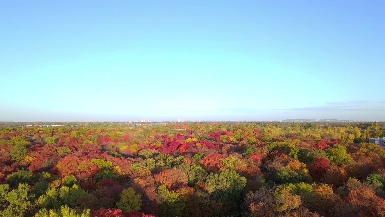 从空中俯瞰拉瓦尔法布维尔的树林，展现了秋天的色彩视频下载