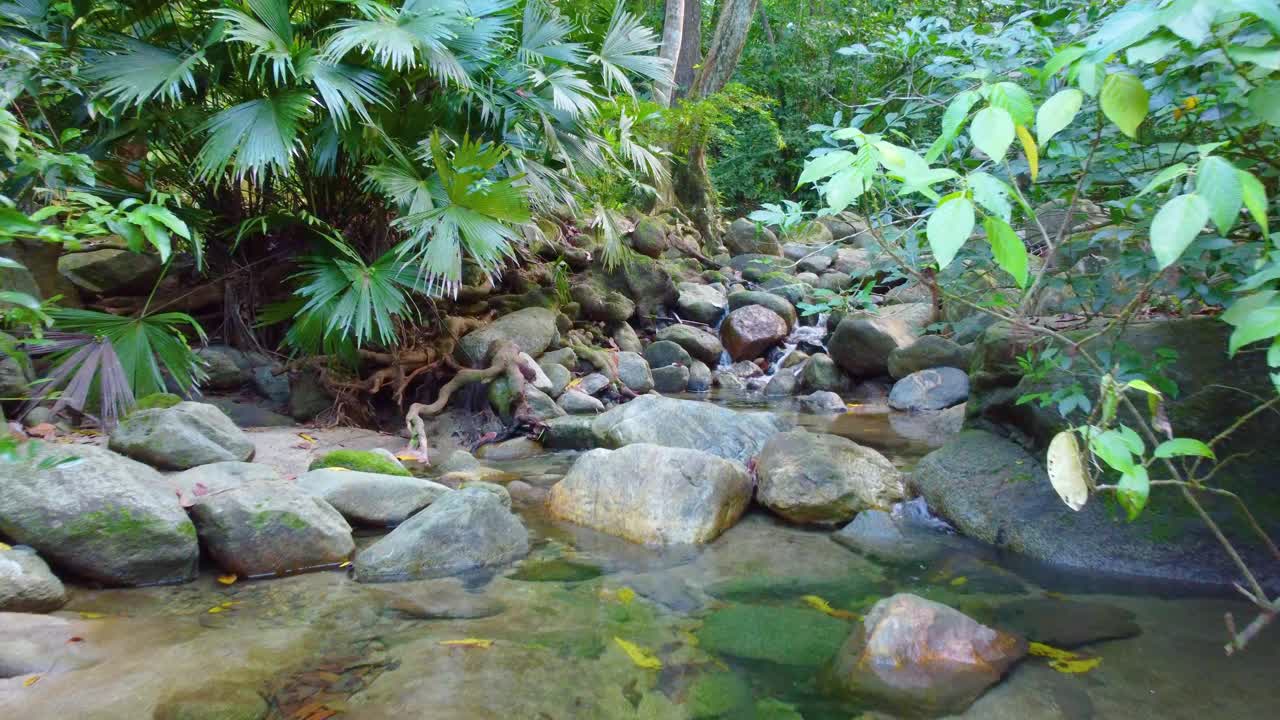 鸟瞰图，在哥伦比亚的岩石地面上，一条小溪流经茂密的森林视频素材