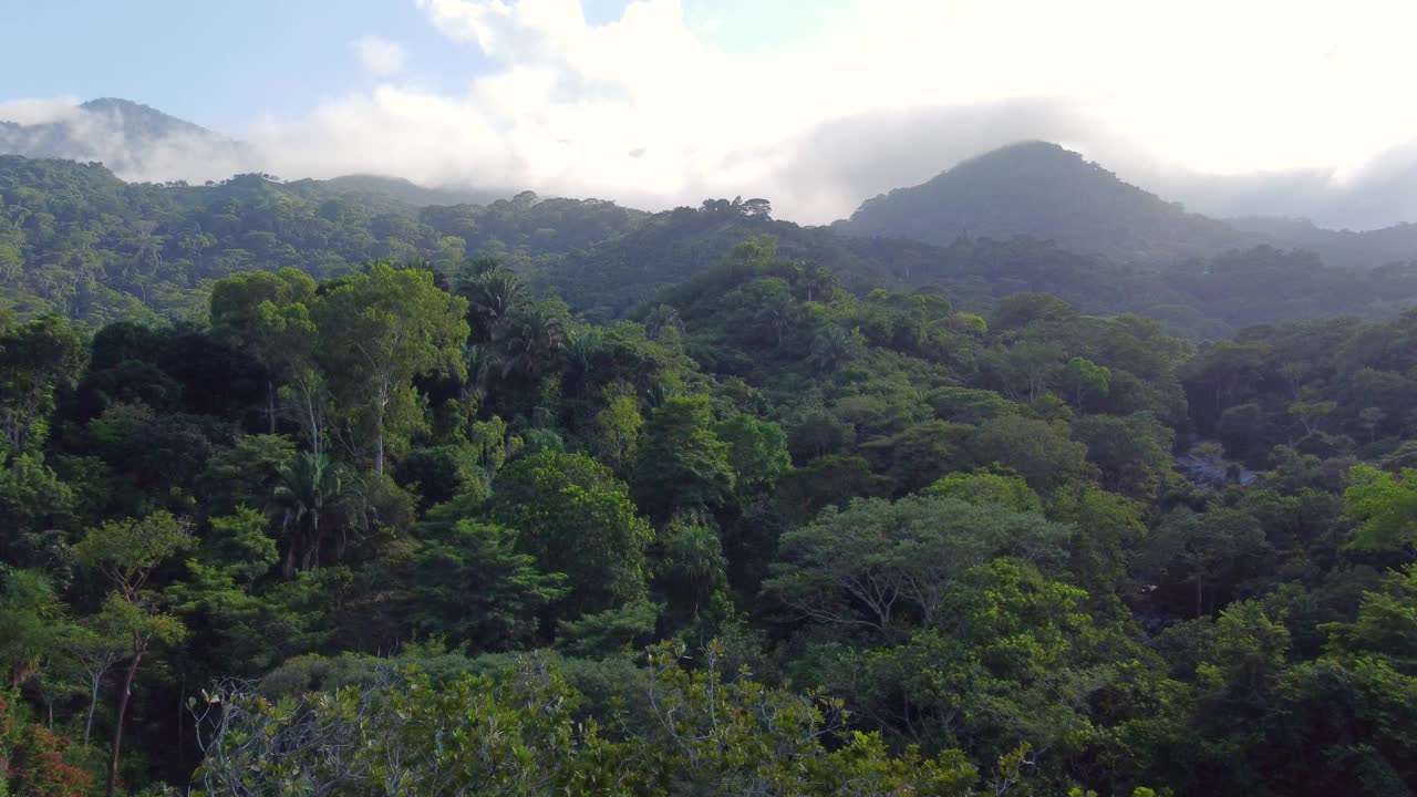 缓慢接近的无人机拍摄了郁郁葱葱的雨林，背景是山脉和多云的天空，位于哥伦比亚的明卡。视频素材