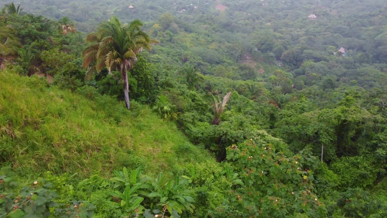 接近无人机拍摄的高地和山区，以及哥伦比亚明卡郁郁葱葱的绿色森林。视频素材