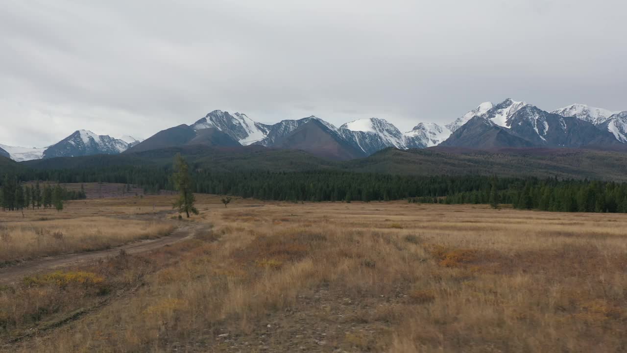 复古SUV驾驶骑尘路山云杉林鸟瞰视频下载