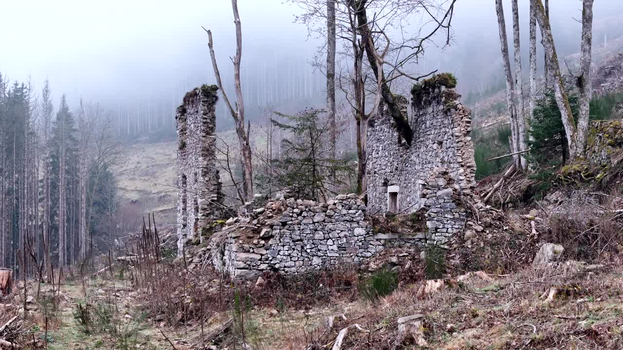 空中飞机在森林和雾笼罩的山上非常古老的农场废墟周围飞行视频素材