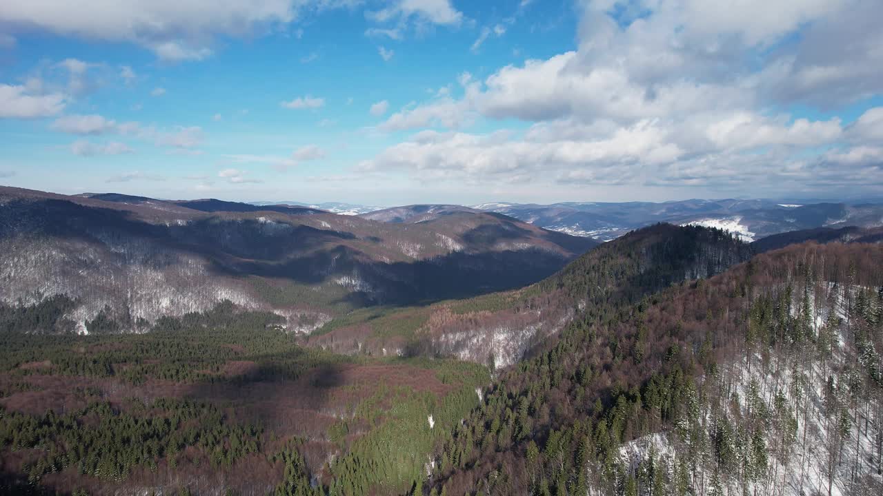 蔚蓝的天空下，苍翠的森林和白雪覆盖的西留山脉，鸟瞰图视频素材