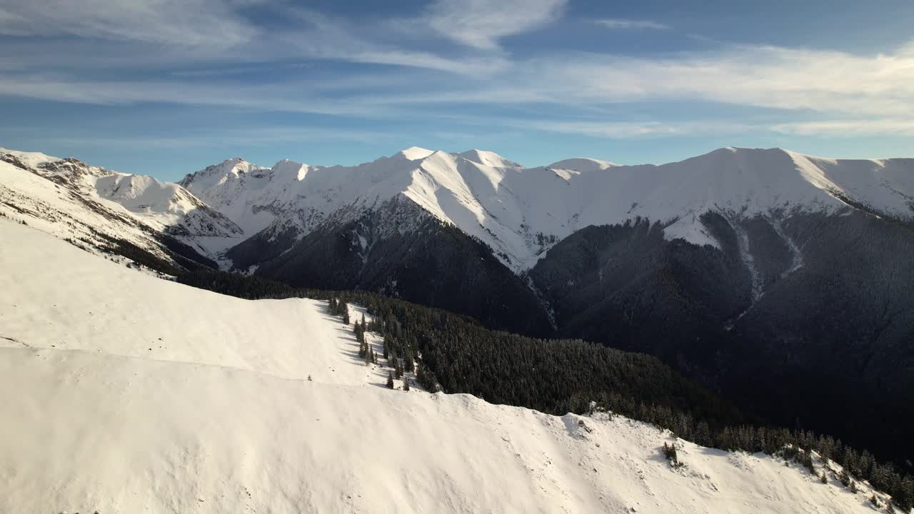 蓝天下，阳光普照的Fagaras山脉，白雪覆盖的山峰和松树视频素材