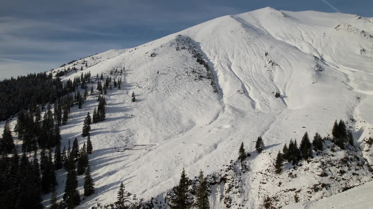 白雪皑皑的Lespezi峰在Fagaras山脉的针叶树下，湛蓝的天空下，鸟瞰视频素材