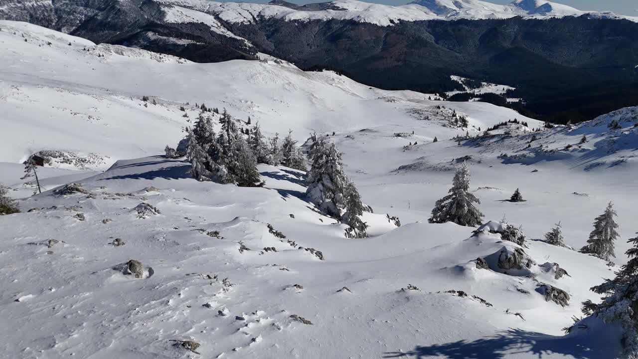 冬天的碧桂山，树木和山峰被白雪覆盖，天空湛蓝视频素材