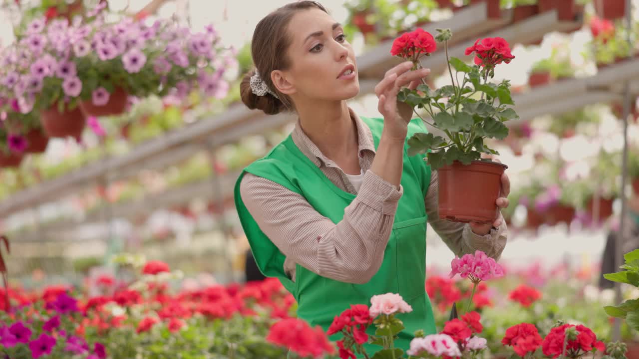 花匠女士在花园中心照顾鲜花视频素材