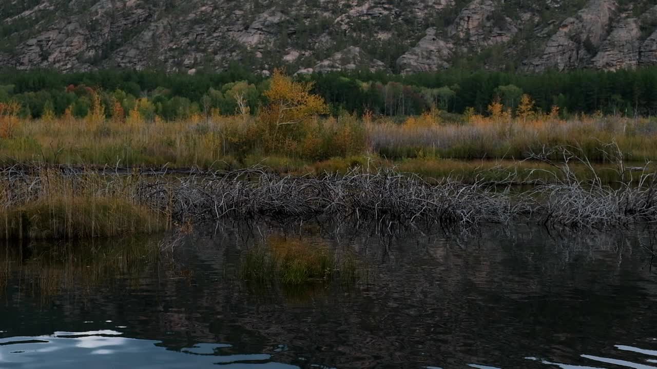 秋林在一个美丽的夜晚倒映在山间的湖水中。多彩的喜怒无常的风景。哈萨克斯坦的卡卡拉林斯克公园视频素材