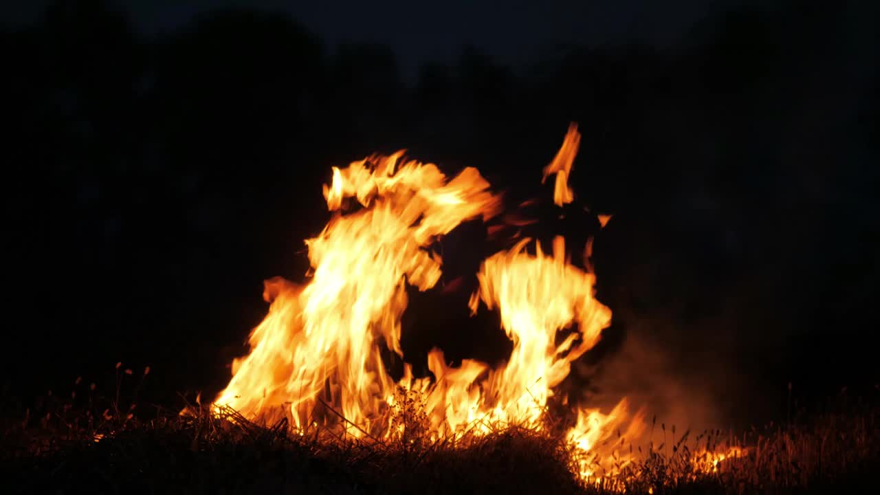 夜晚，背景森林里燃烧着一堆大篝火视频素材