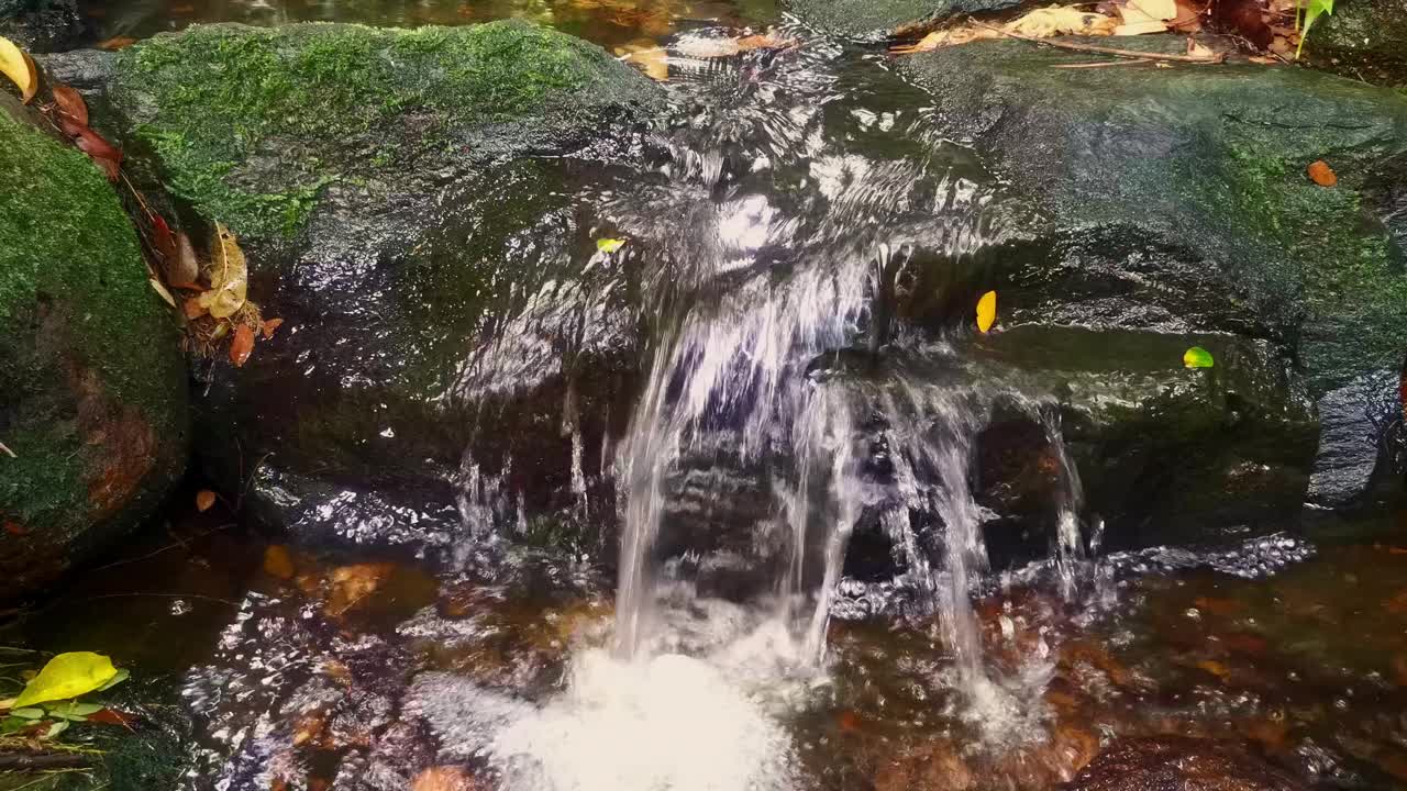 水流靠近视频素材