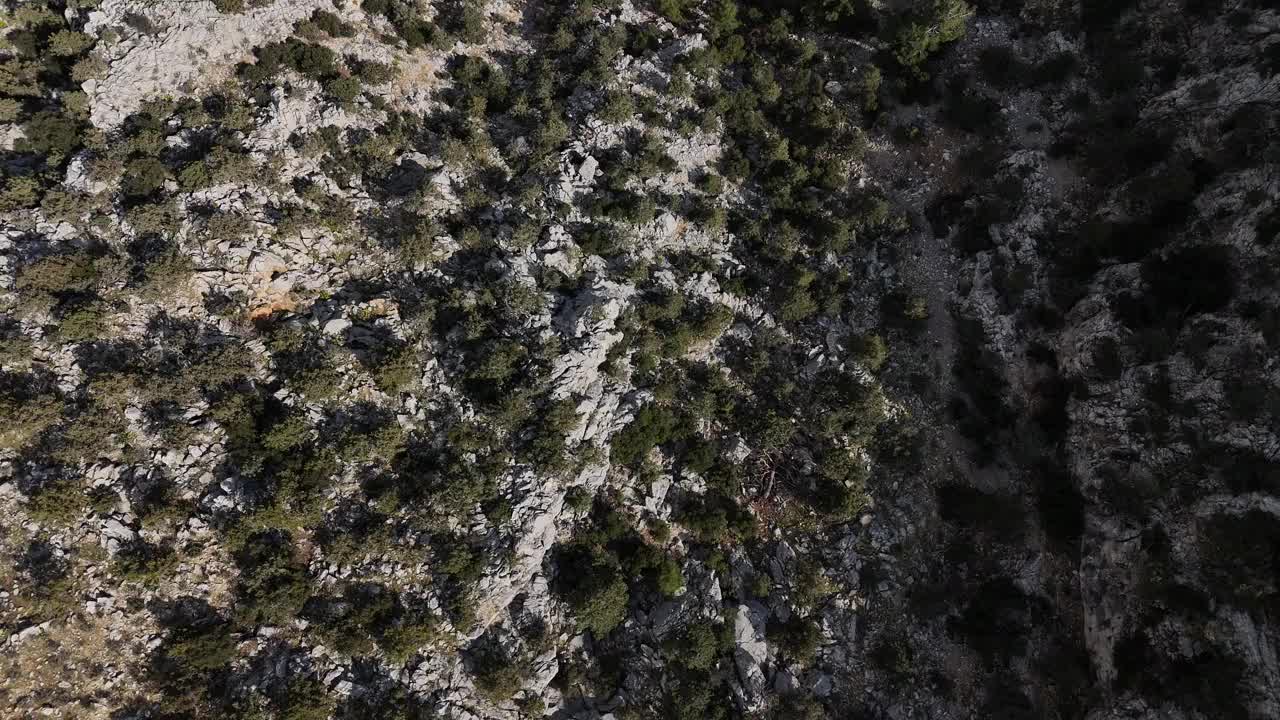 空中:茂密的树叶和崎岖的地形视频素材