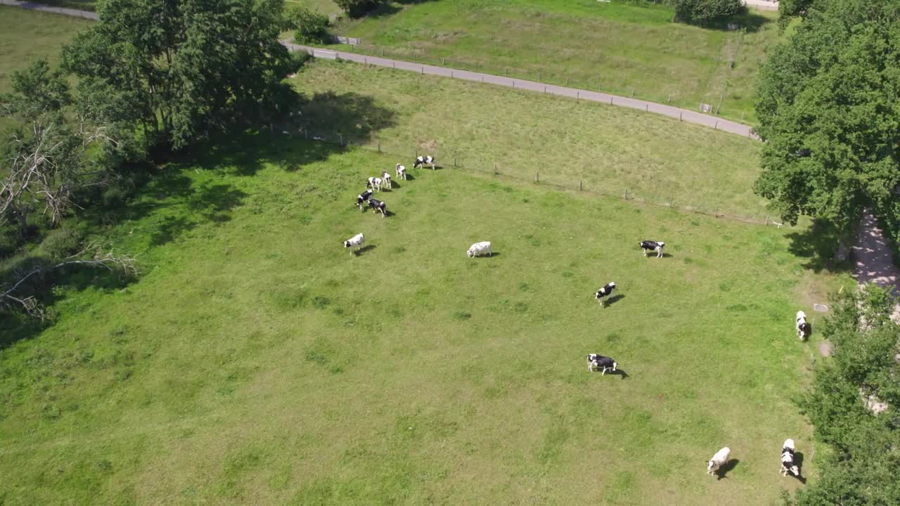 鸟瞰荷兰盖尔德兰的乡村草地和农场视频素材