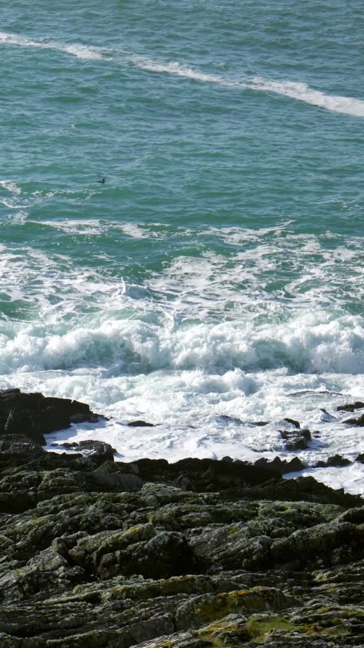 布满岩石的海岸线上，漆黑壮观的岩石在无情的海浪冲击下屹立不倒。深蓝绿的海洋，海浪激起白色的泡沫。垂直视频。视频素材