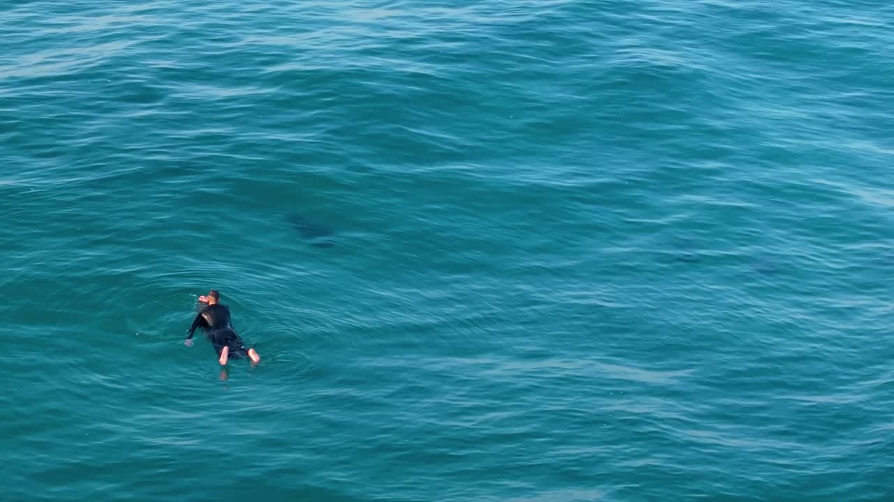 冲浪者漂浮在平静的蓝色海洋上视频素材