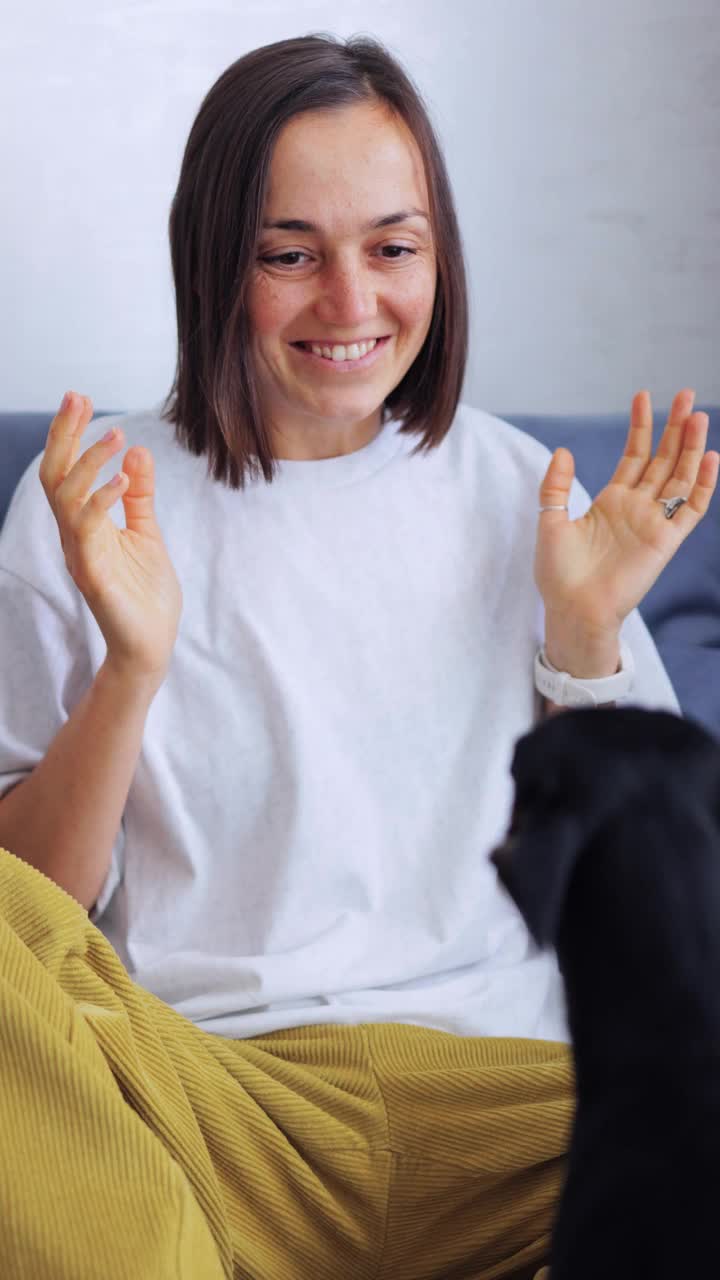 快乐的沙发游戏:女人和迷你平切犬视频素材