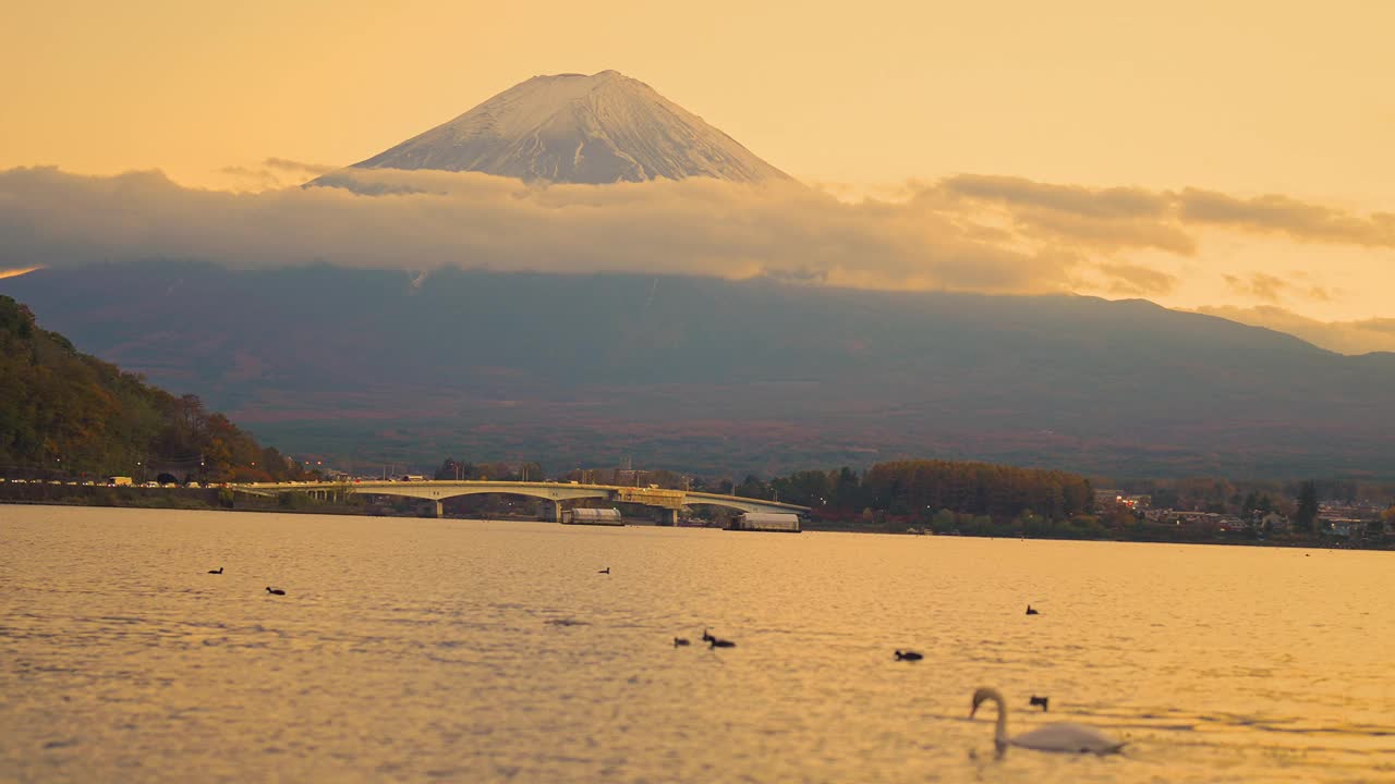 傍晚日落时，川口湖畔的富士山和天鹅、鸭子。日本山梨县的富士山。地标，吸引游客。日本旅游，目的地，度假和富士山日的概念视频素材