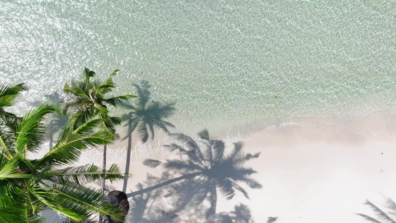 夏日棕榈树和热带海滩，蓝色的海滨背景视频素材