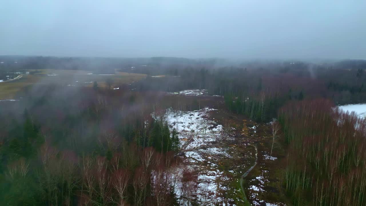 朦胧的鸟瞰图上稀疏的冬季景观在黎明，片片的雪视频素材