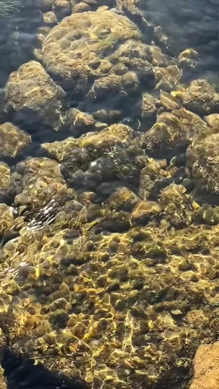 水下岩石视频素材