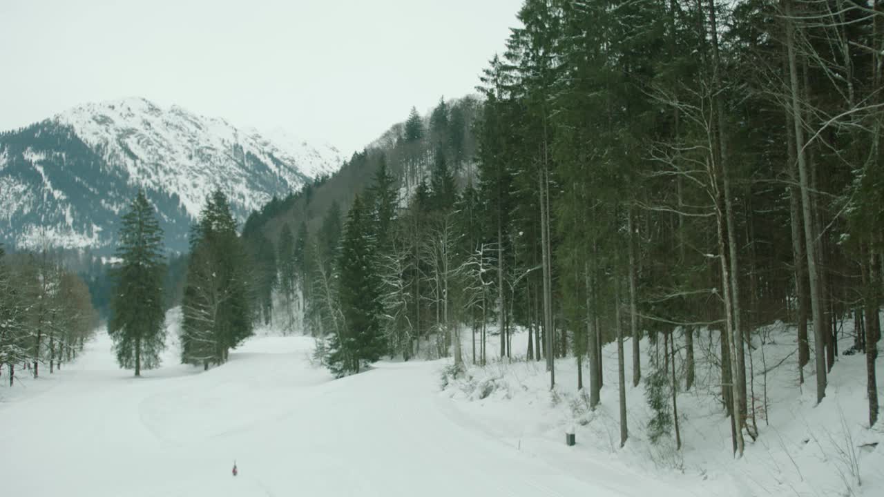 冬季，白雪覆盖的山脉高耸在一片宁静的松林之上视频素材