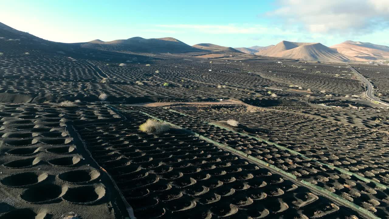 西班牙加那利群岛兰萨罗特岛葡萄园黑色火山灰轨迹，无人机鸟瞰图视频素材