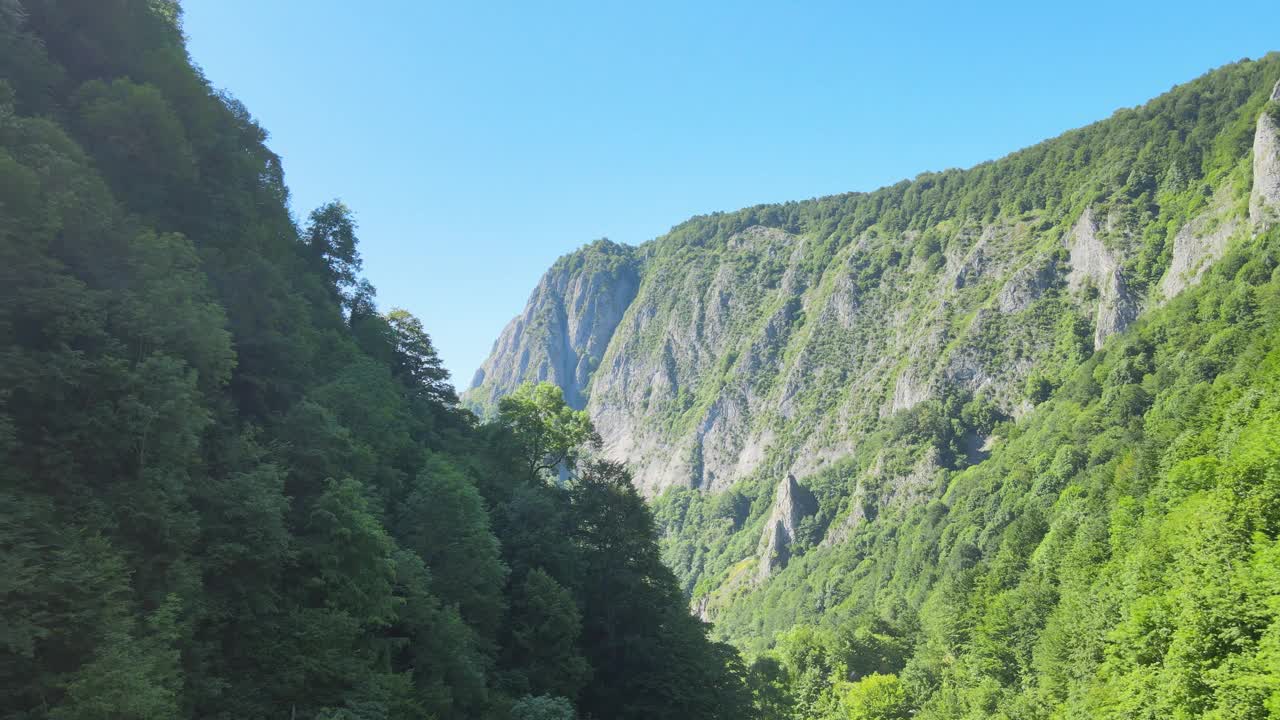 青山绿水视频下载