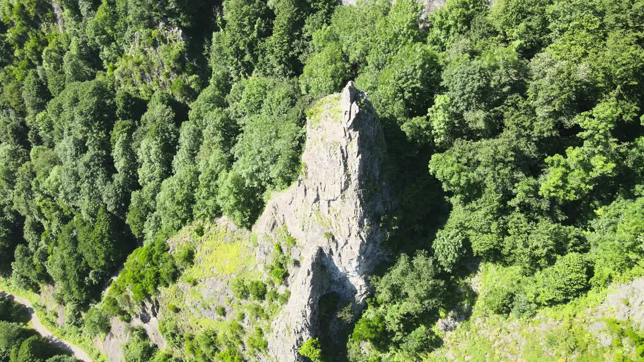 森林中的陡峭岩石视频下载