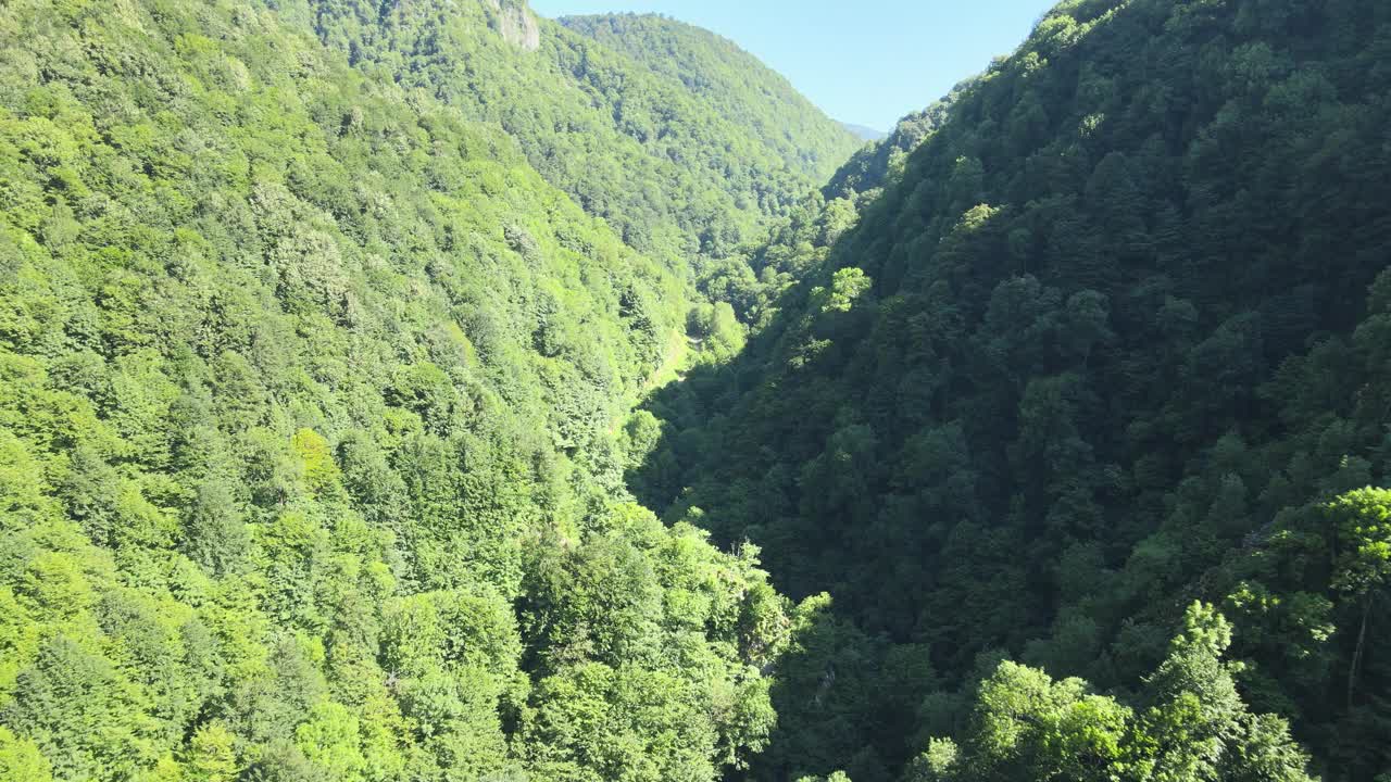 空中森林谷视频素材