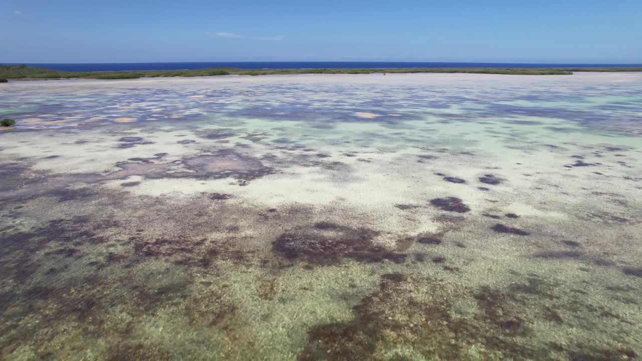 在洛斯罗克浅水区拍摄的空中上升照片显示了受保护的湿地视频素材