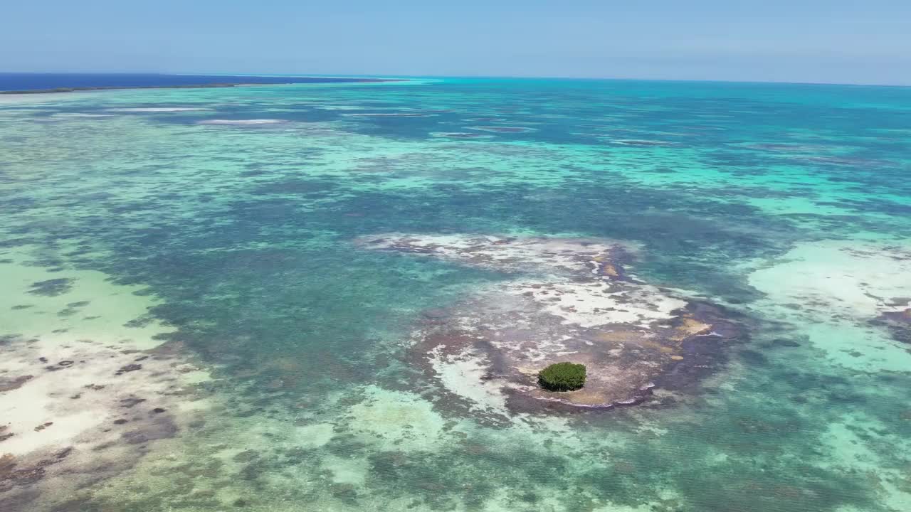 洛斯罗克附近充满活力的珊瑚礁，清澈的绿松石海水和一个绿色的岛屿，鸟瞰图视频素材