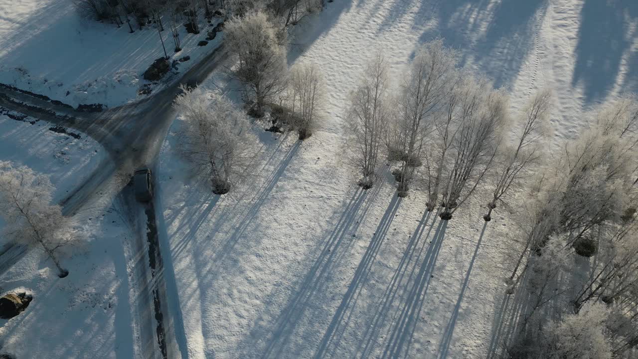 雪景，一辆汽车沿着道路行驶，树木排列在小路上，在晨光中投下长长的阴影，航拍跟踪拍摄视频素材