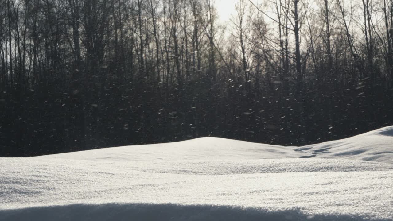 温柔的雪花落在宁静的白雪覆盖的光秃秃的树木上视频素材