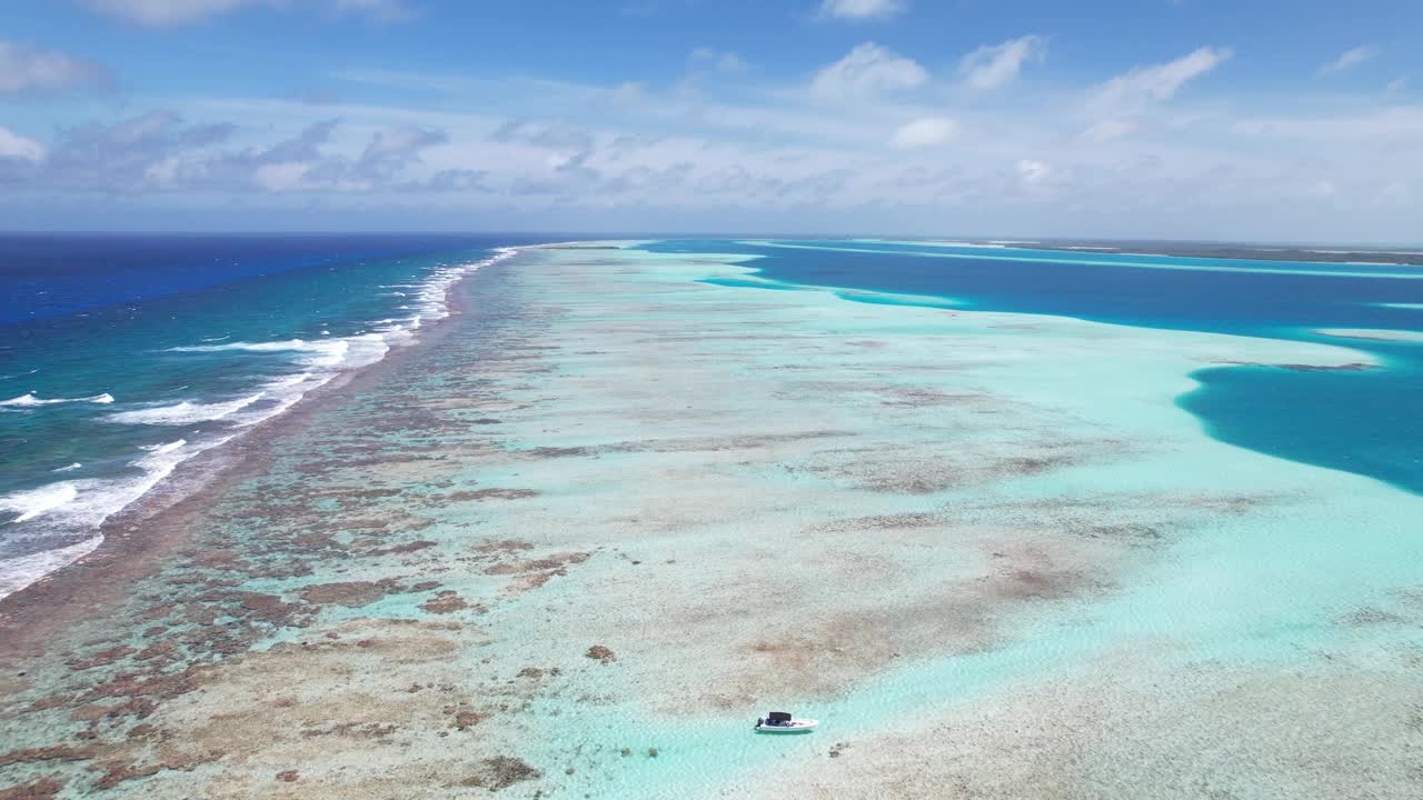 清澈的天空下碧蓝的海水旁生机勃勃的珊瑚礁，向前移动的镜头，鸟瞰图视频素材