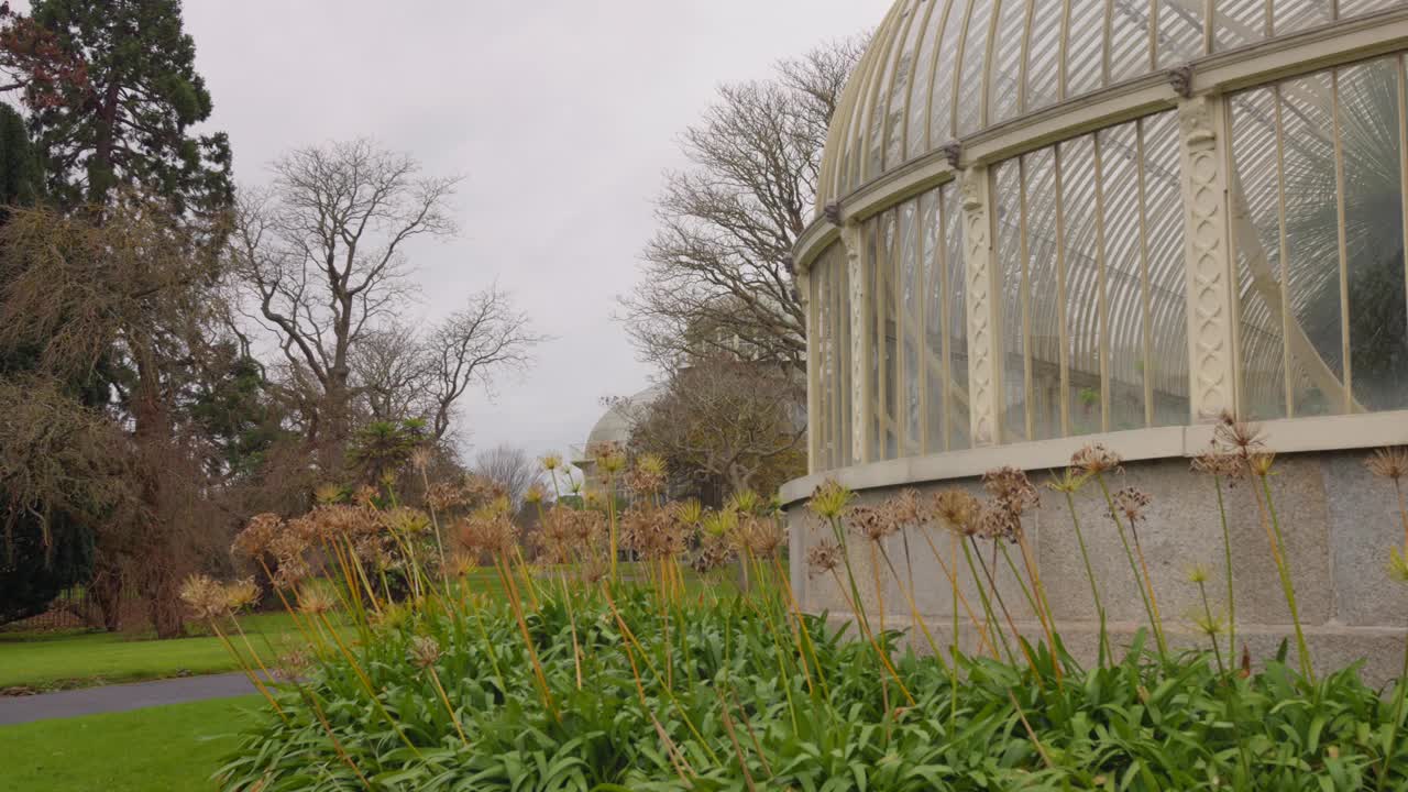 植物园温室在格拉斯内文，都柏林，爱尔兰-国家植物园视频素材