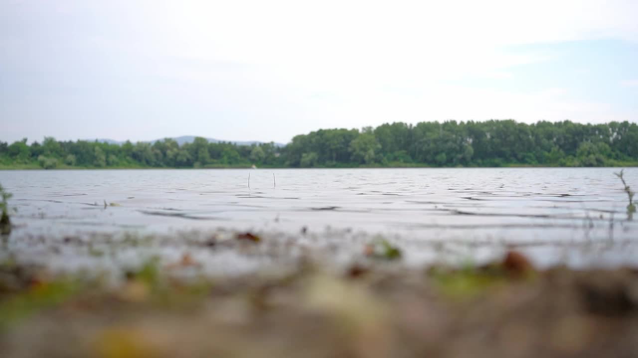 枯叶枯枝散落在湖岸，昆虫在上空飞舞视频素材