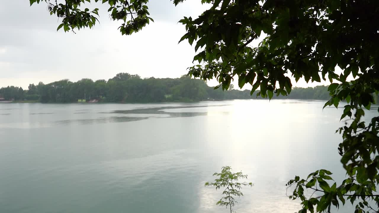 夏天湖边的雨天，湖岸的绿树视频素材