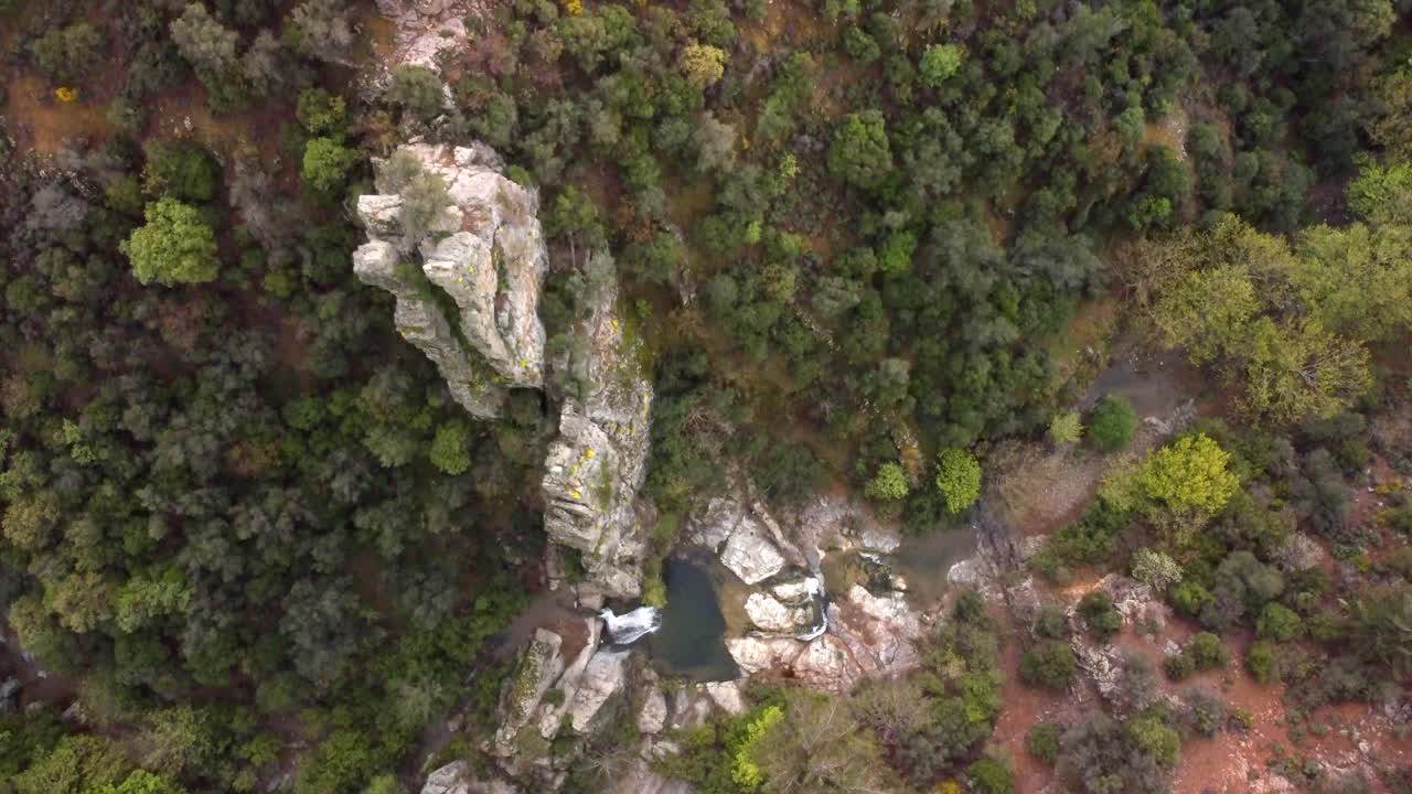 丘陵地带茂密森林的鸟瞰图视频素材