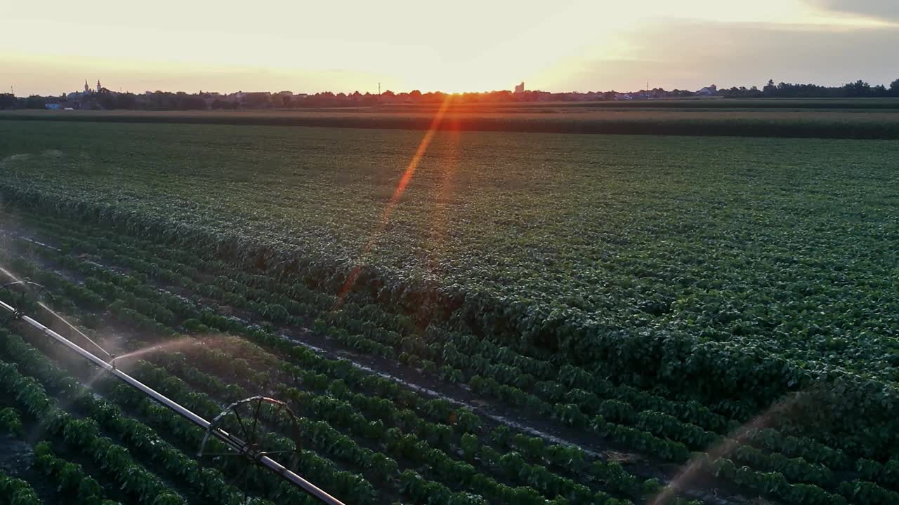 夕阳下的灌溉农田——无人机视角视频素材