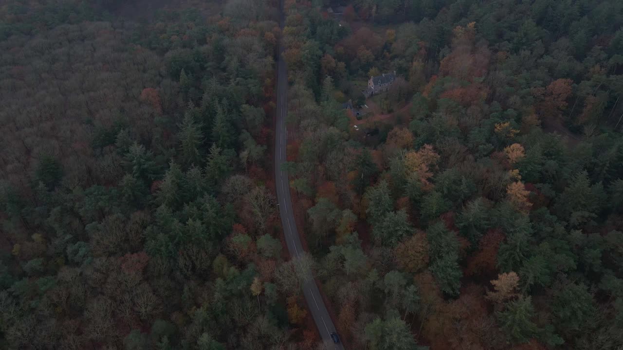 秋日穿越森林的公路鸟瞰图视频素材