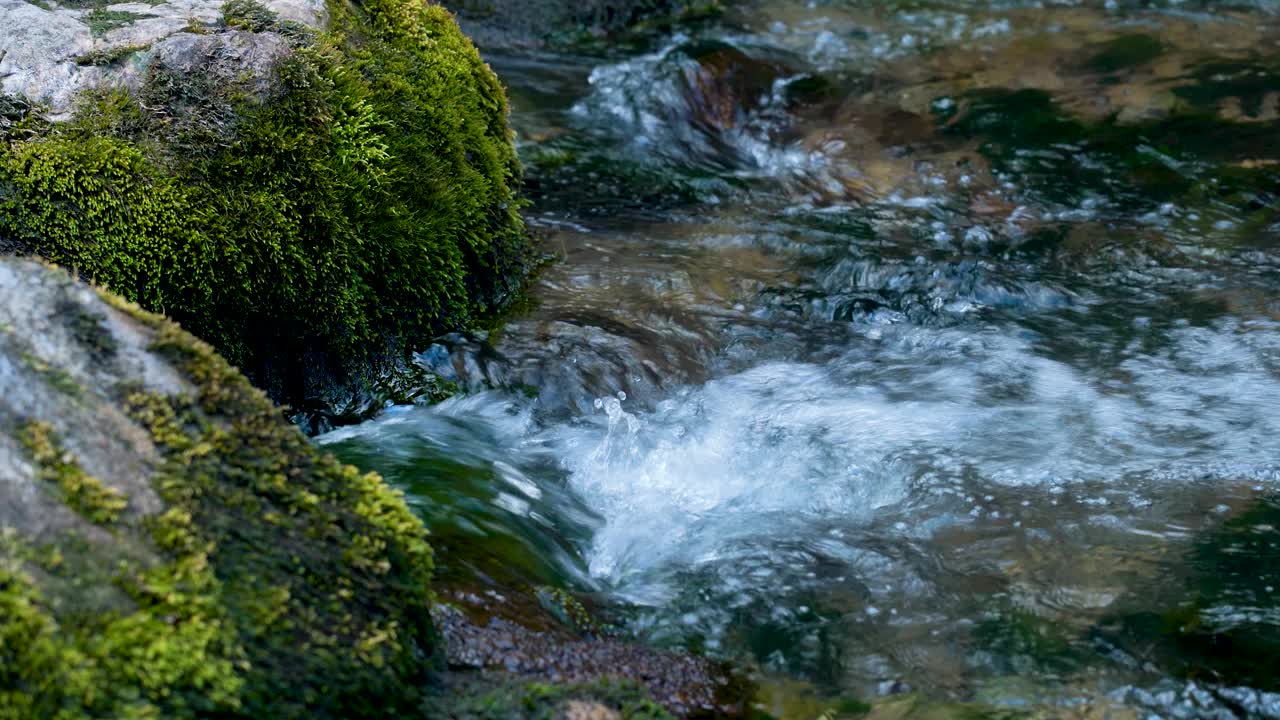 一股水流过长满青苔的石头视频素材