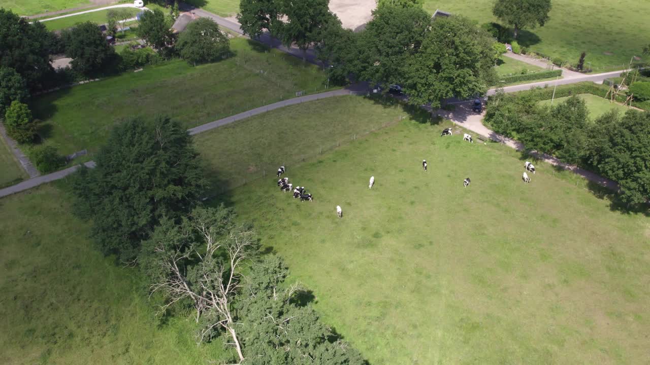 鸟瞰荷兰盖尔德兰的乡村草地和农场视频素材