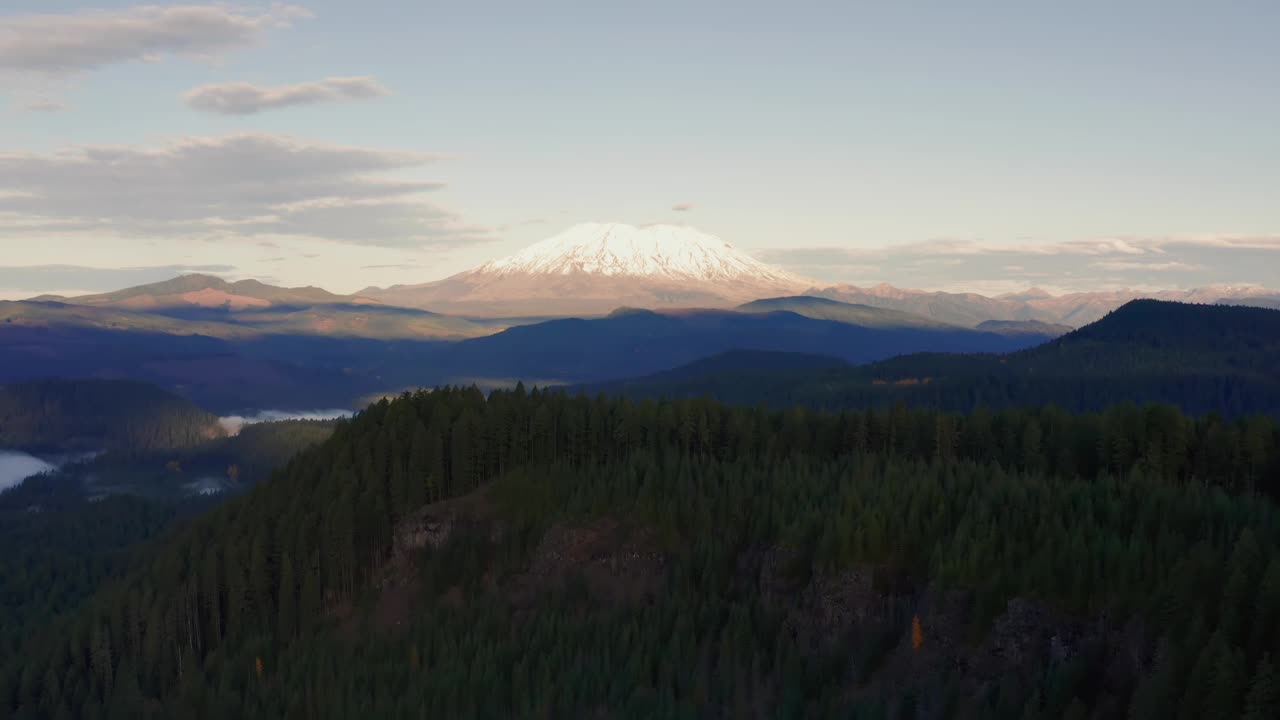 平滑飞行在郁郁葱葱的松树树冠与圣海伦山在地平线上，多莉在空中视频素材