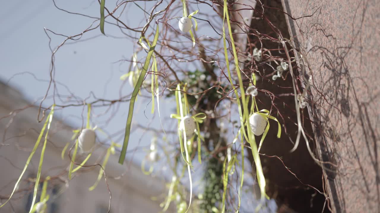 柳絮上的复活节彩蛋视频素材