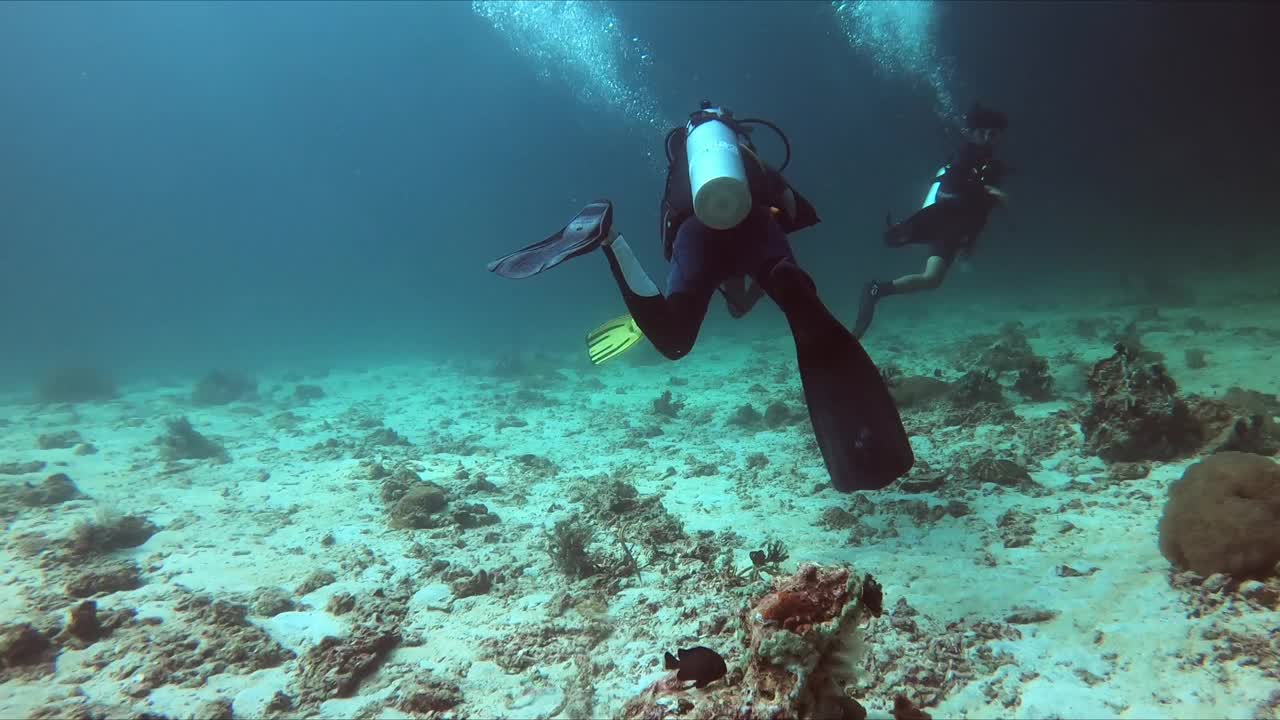 潜水员在蔚蓝的海水中探索岩石和海绵之间充满活力的珊瑚礁视频素材