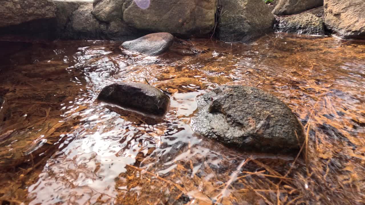 流过岩石的溪水视频素材