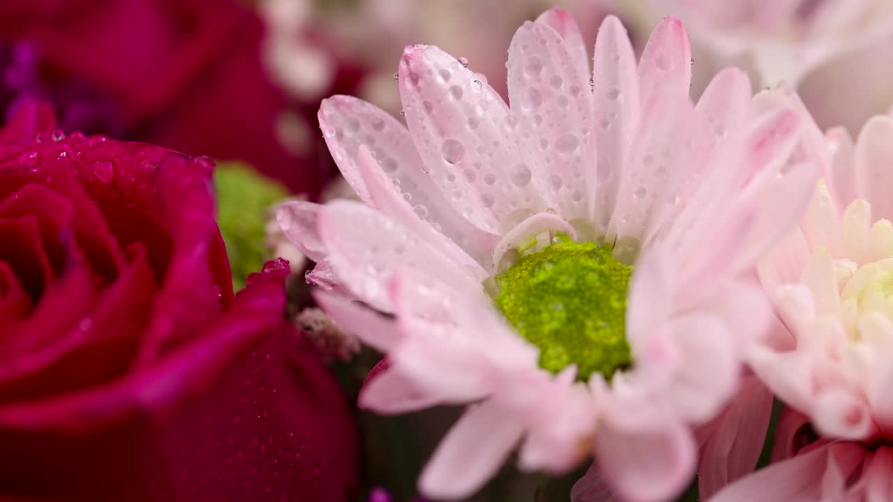 一束祝贺的鲜花视频素材