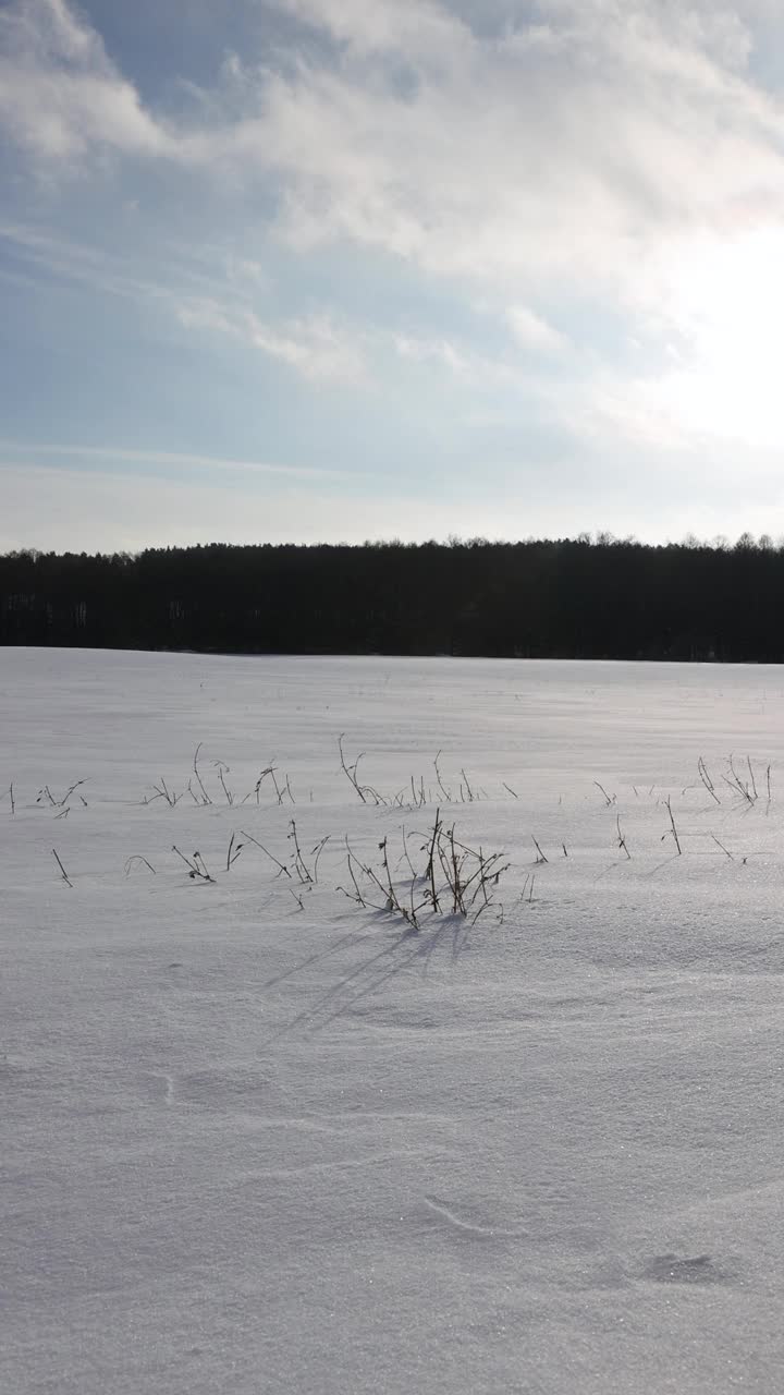 晴朗的天气下完一场美丽的新雪视频素材