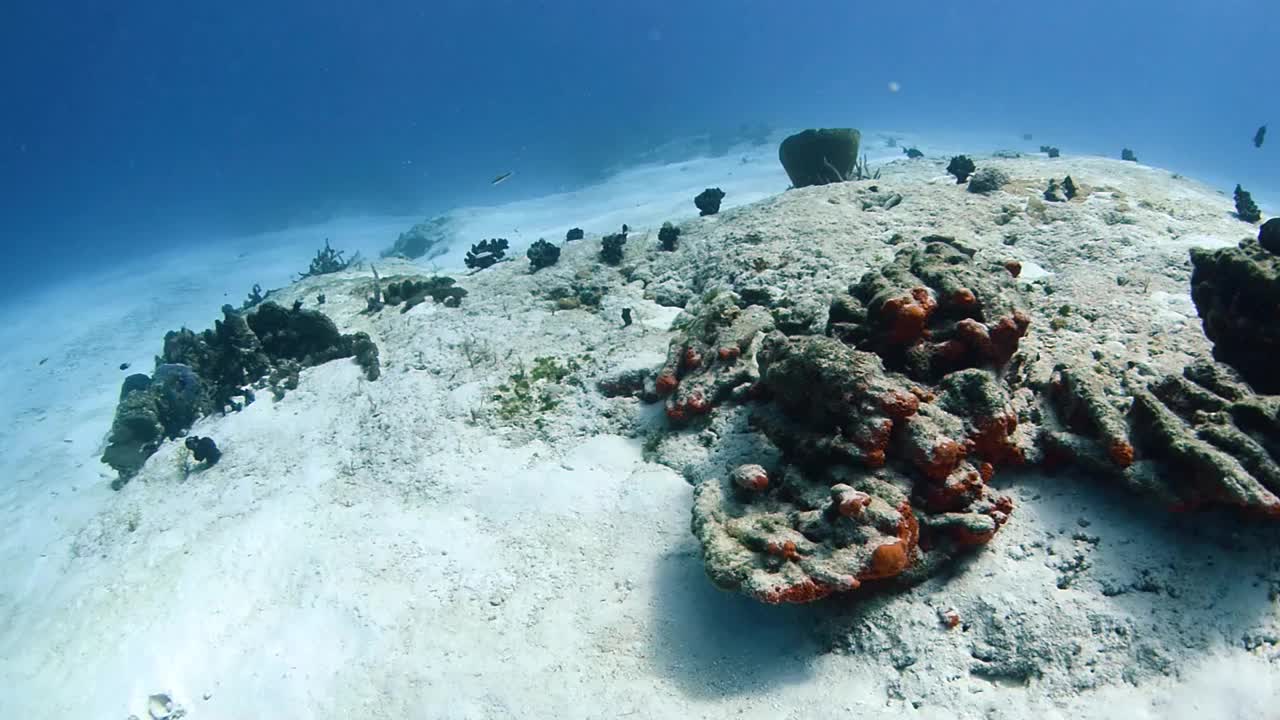 科苏梅尔潜水视频下载